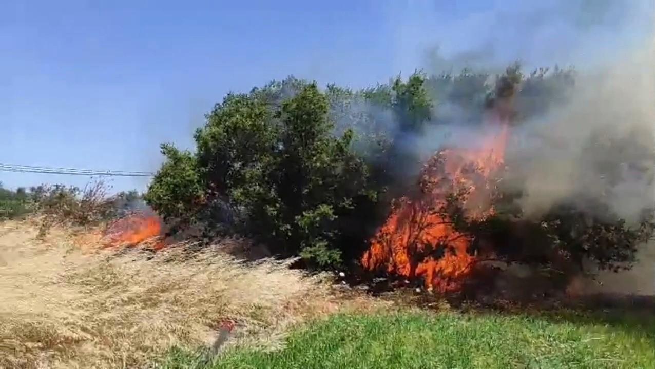 Çanakkale’de korkutan yangın! Alevler rüzgarla büyüdü