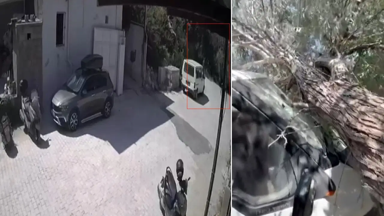 Evin avlusundaki ağaç kamyonetin üzerine devrildi Haber gorseli