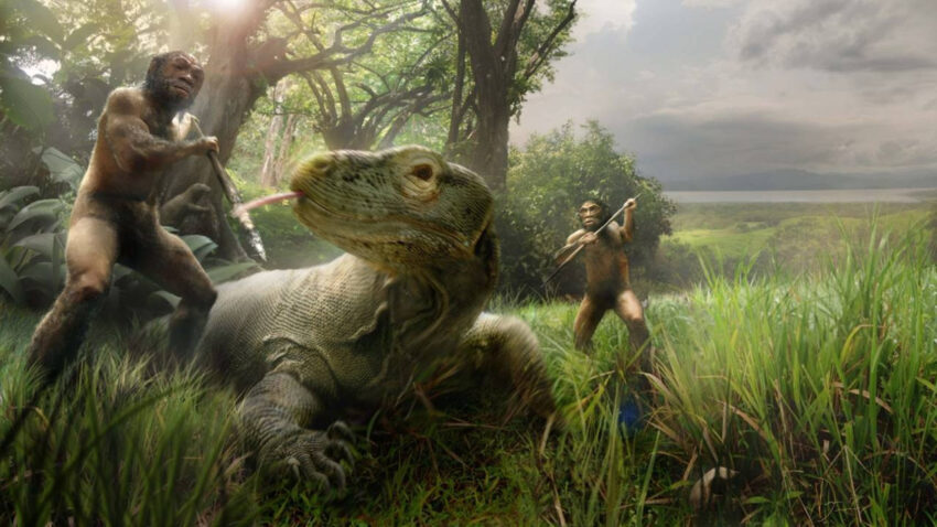 Hobbitler komodo ejderlerinin pesinden gitmis G4kfBmEC